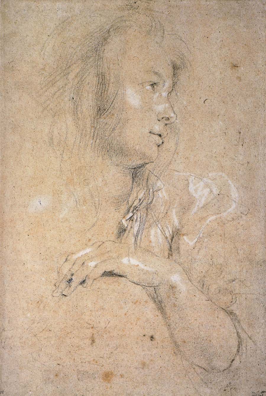 Study of Head